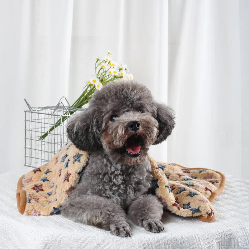 Couverture en Velours Polaire Douce Multiusage pour Chien et Chat | Chaude & Douilette | 60x40 à 100x76cm