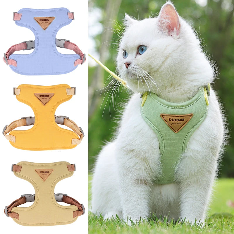 Harnais et Laisse pour Chat et Petit Chien – Prêt pour la balade