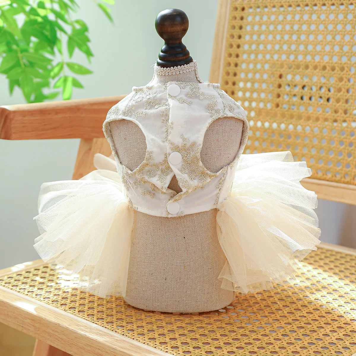 Robe Élégante pour Chienne – Belle comme une princesse