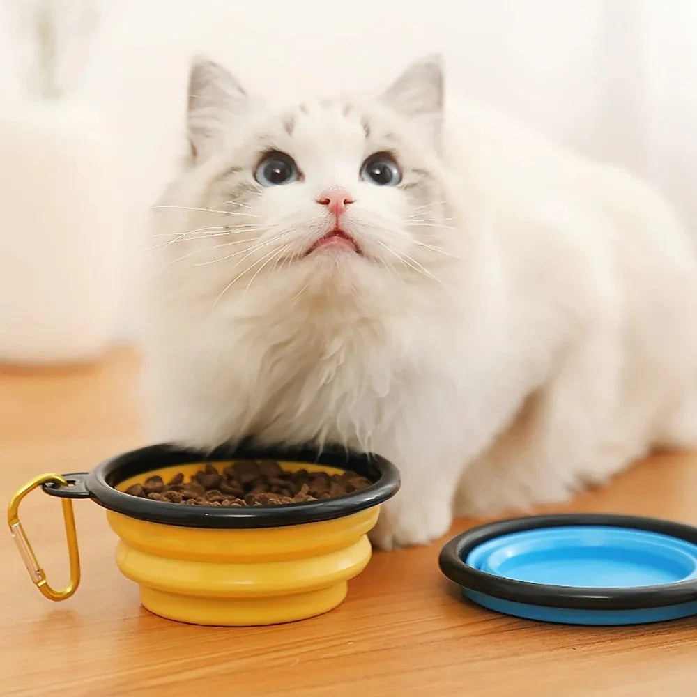 Gamelle Pliable de Voyage pour Chien et Chat – Toujours prête, partout