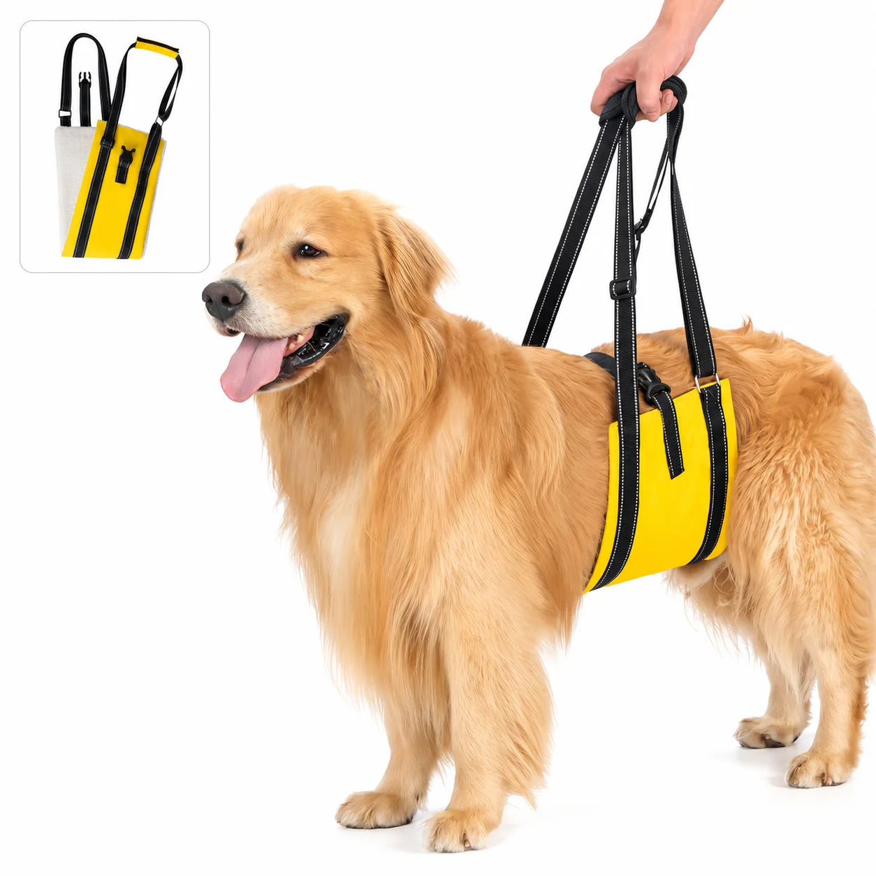 Harnais de Soutien Pattes Arrière – Aide à la Mobilité pour Chien Senior ou Convalescent