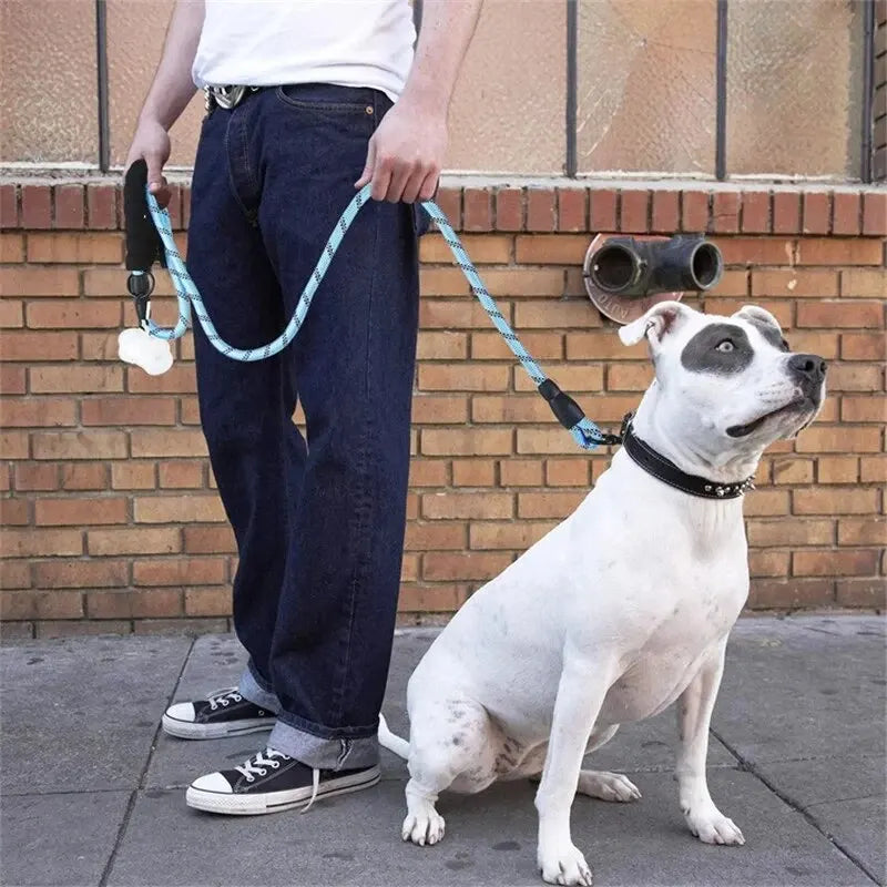 Laisse Courte pour Chien – Proche et en sécurité