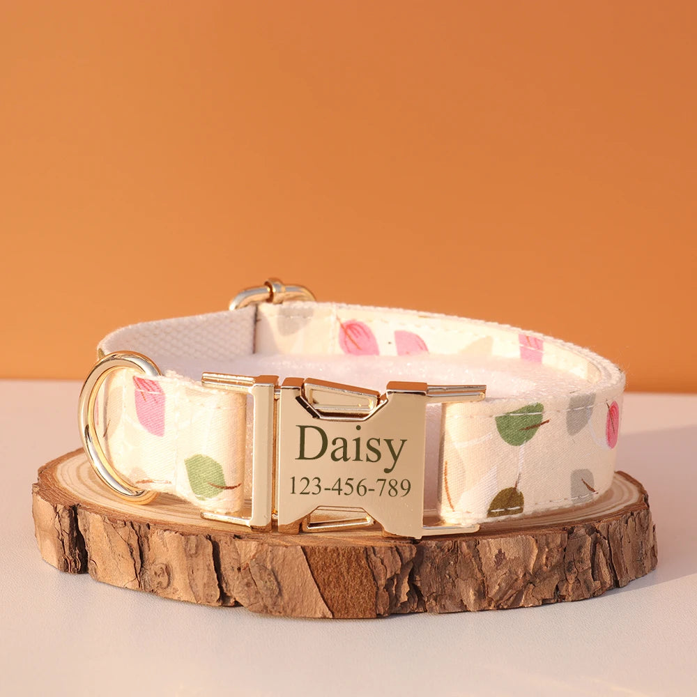 Collier Nylon Fantaisie Personnalisé pour Chien – Fun et personnalisé