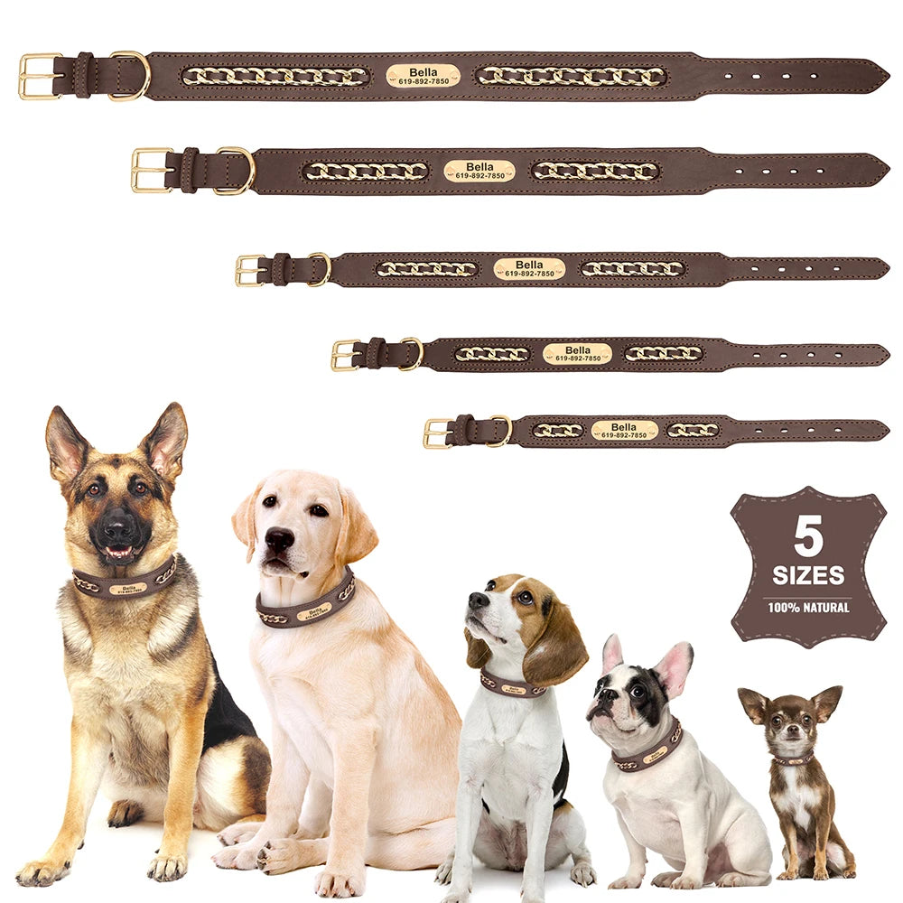 Collier en Cuir Personnalisé pour Chien – Élégant et unique