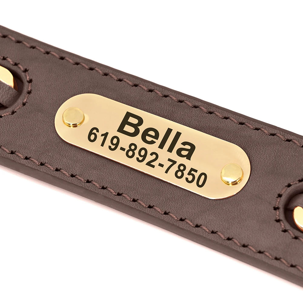 Collier en Cuir Personnalisé pour Chien – Élégant et unique