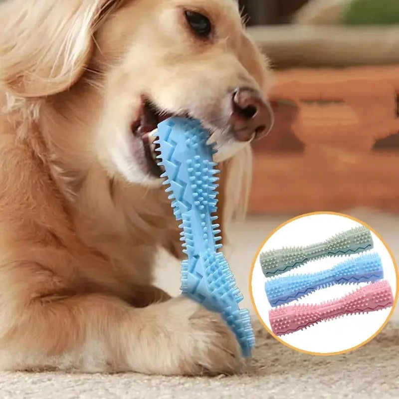 Jouet à Mâcher pour Chiot et Chien – Parfait pour les petites dents