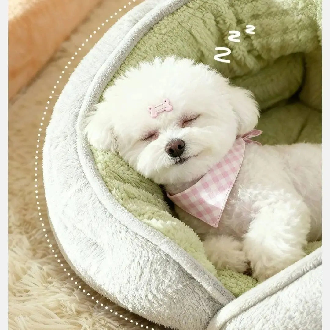 Lit douillet blanc petits chiens et chats