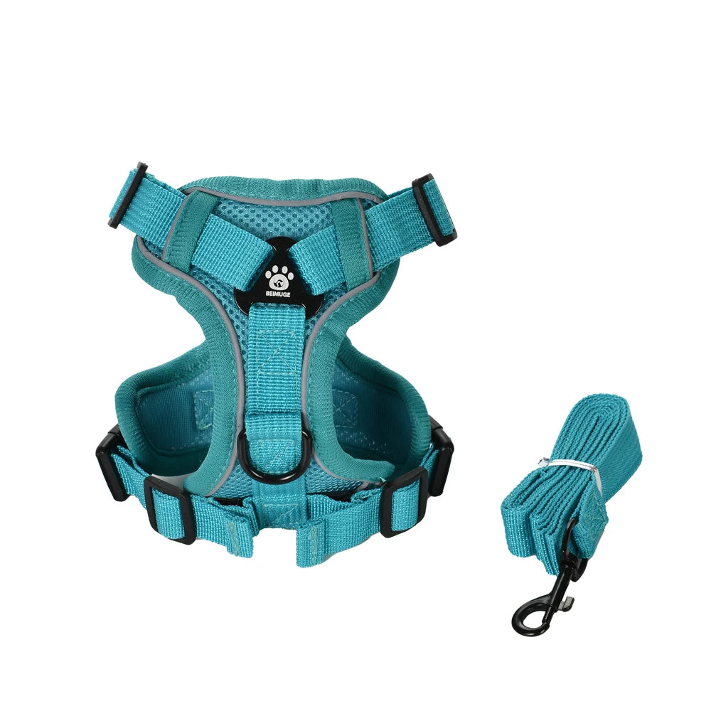 Ensemble Harnais + Laisse Réfléchissant pour Petit Chien et Chat