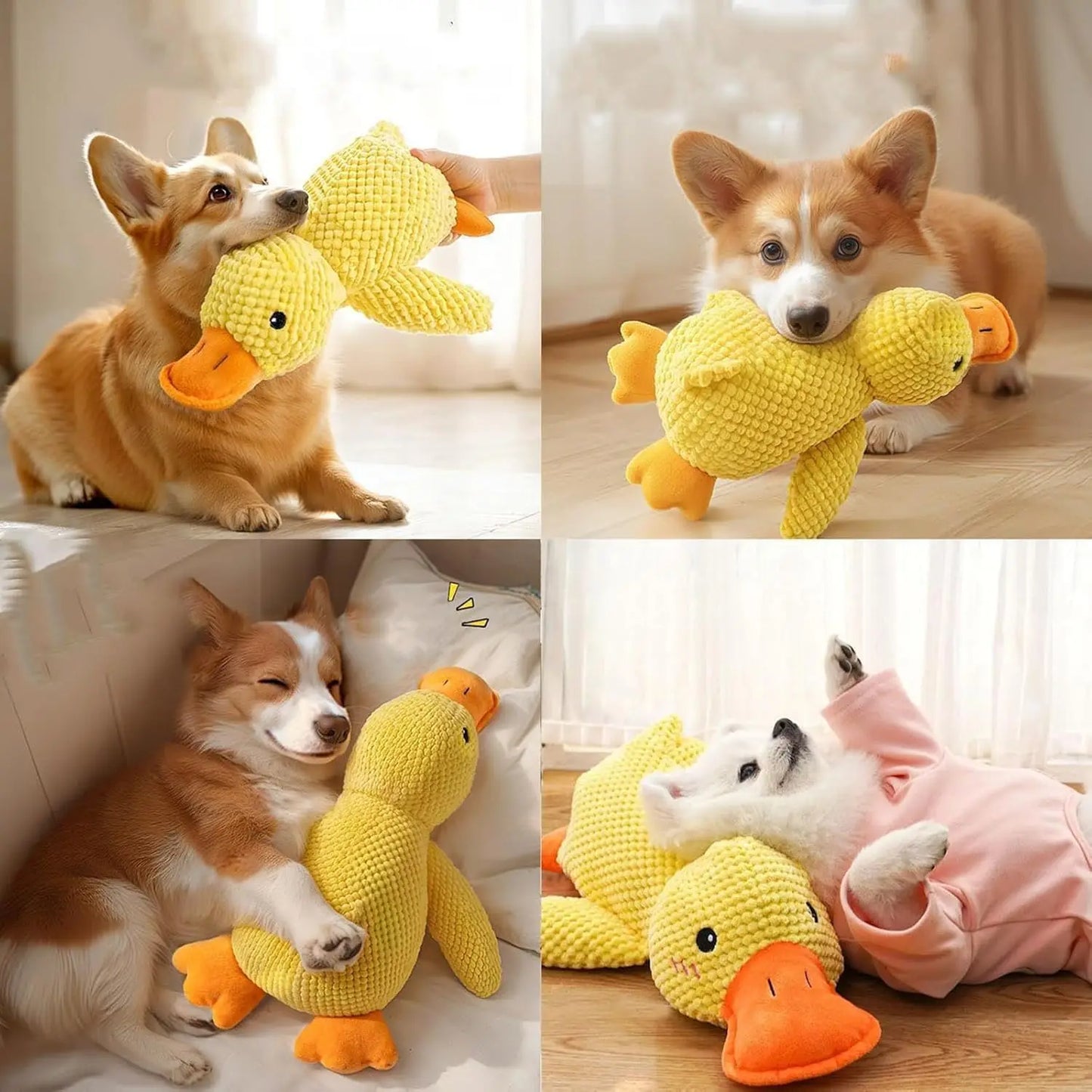 Jouet Sonore en Peluche pour Chien – Il adore, tu adores