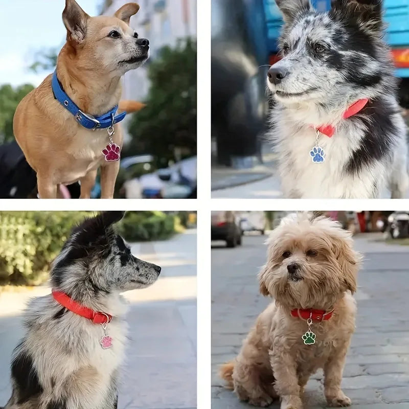 Médaille Pailletée – Gravée et Personnalisable pour Chien et Chat