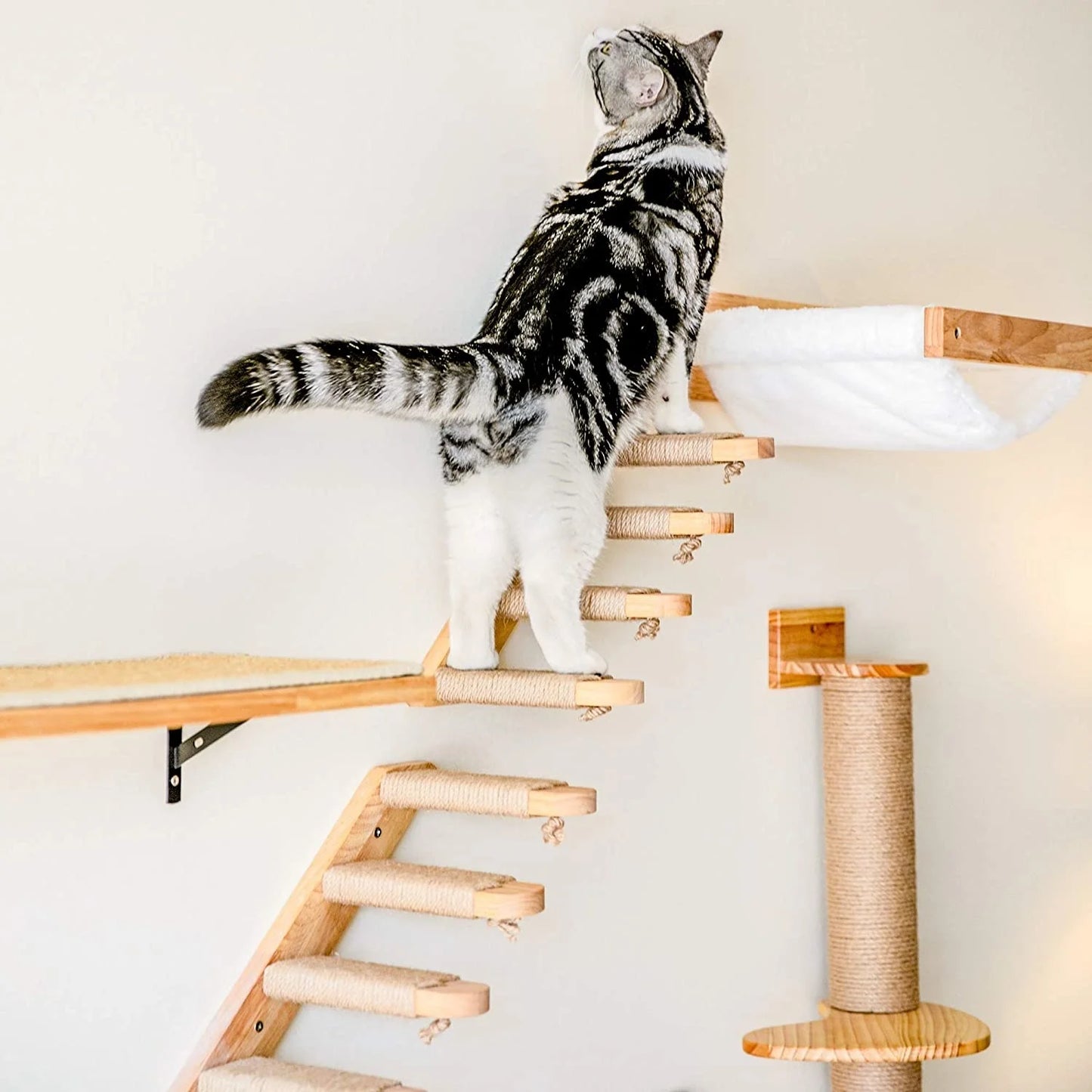 Parcours Mural pour Chat – Son terrain de jeu vertical
