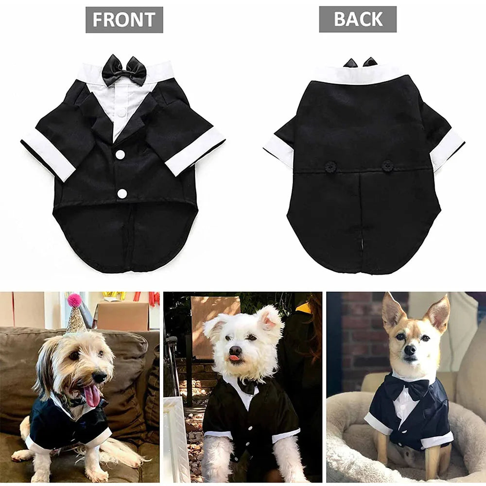 Costume Smoking pour Chien – Le plus élégant de la meute