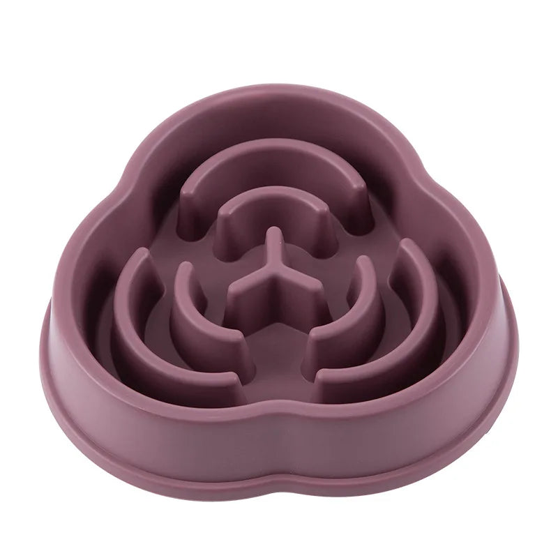 Gamelle Anti-Glouton pour Chien - Alimentation Lente et Saine