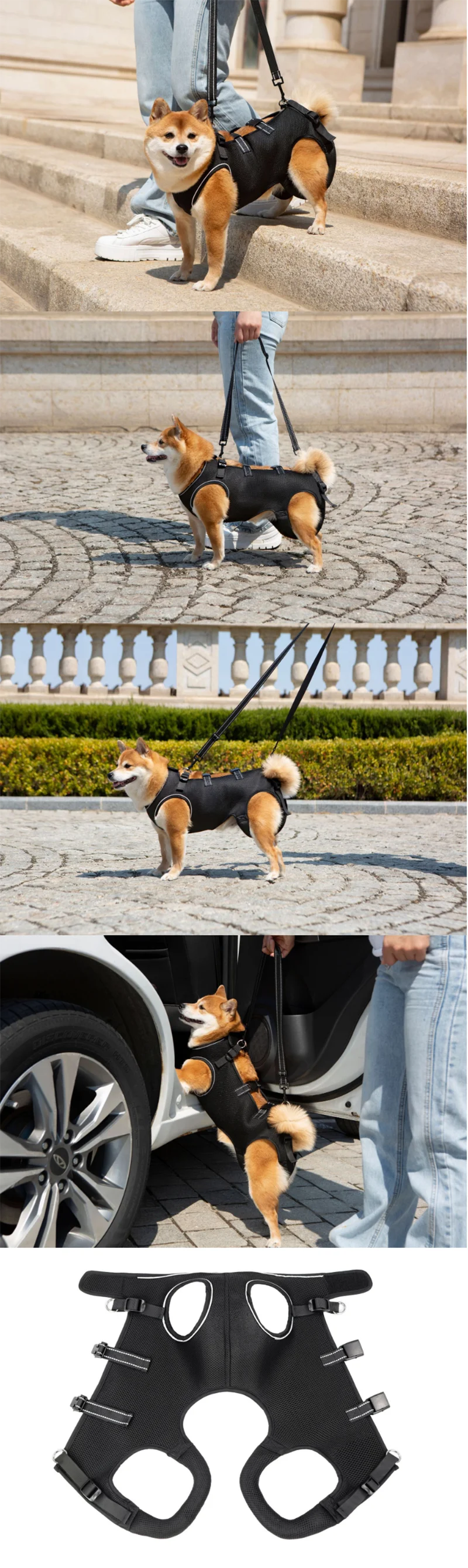 Harnais de Mobilité pour Chien – Soutien Complet 4 Pattes | Rééducation & Senior