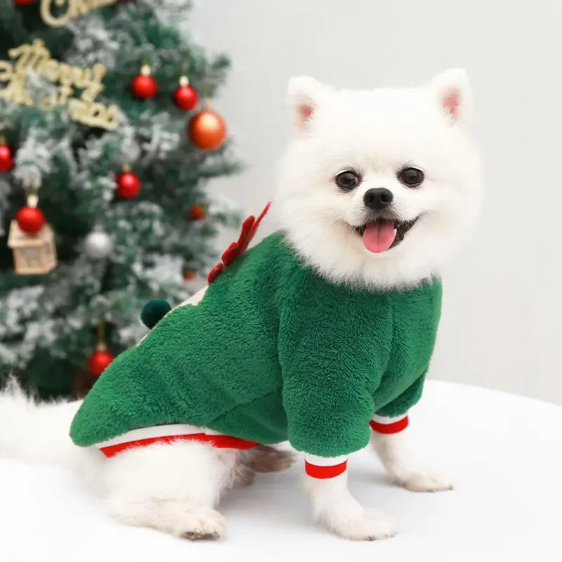Tenue de Noël pour petits et moyens chiens – Douceur festive