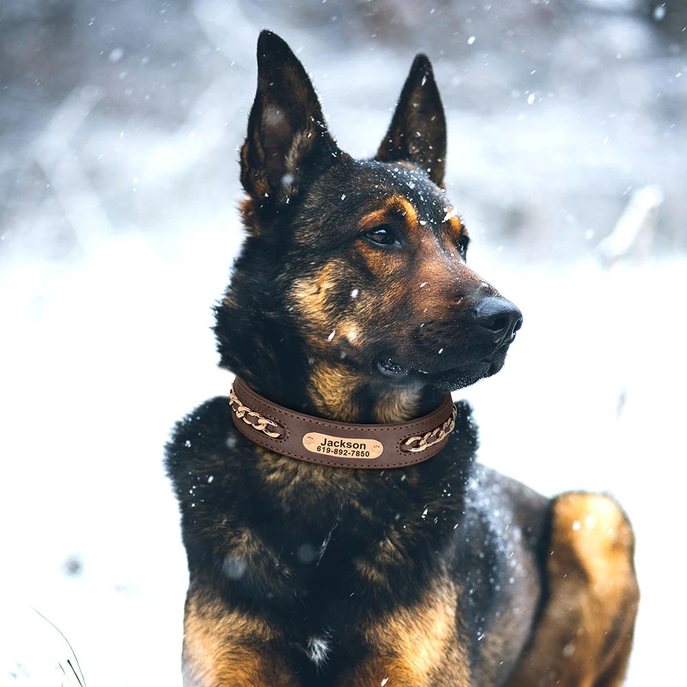 Collier en Cuir Personnalisé pour Chien – Élégant et unique