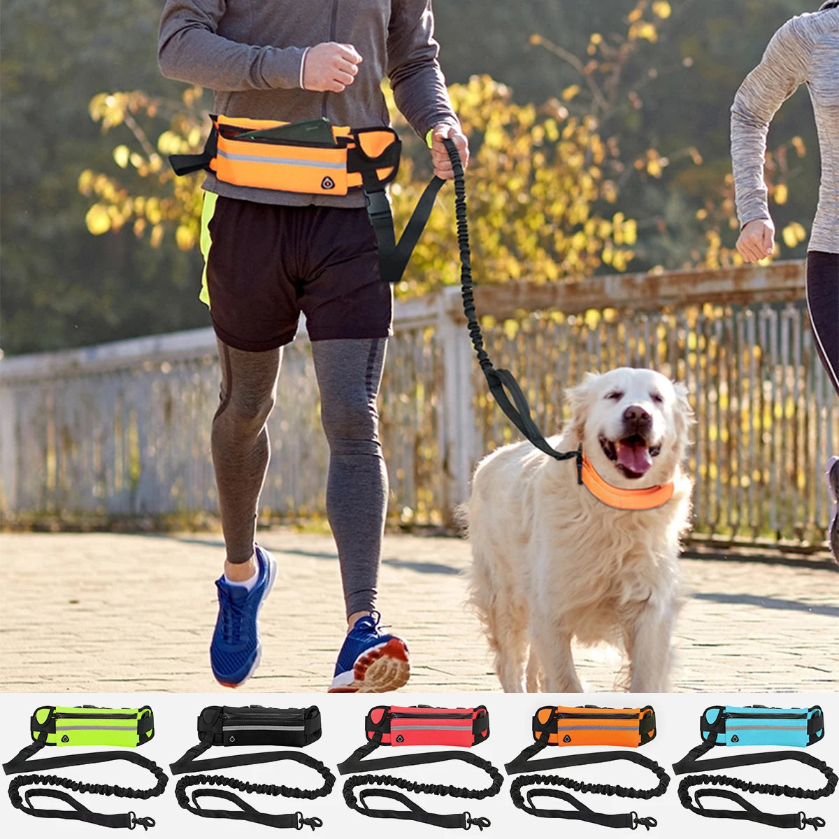 Laisse Mains Libres pour Chien – Idéale pour le Canicross et le Running