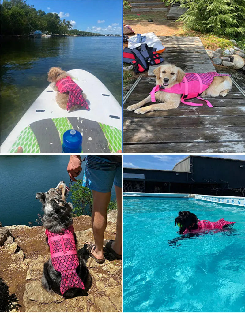 Gilet de Sauvetage Fantaisie pour Chien – Requin ou Sirène 🦈🧜‍♀️