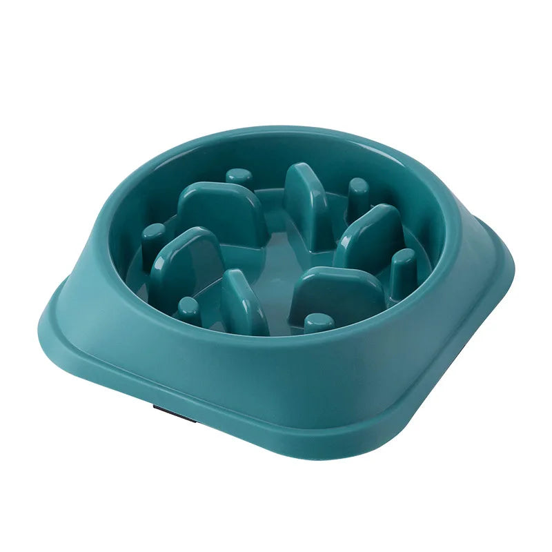 Gamelle Anti-Glouton pour Chien - Alimentation Lente et Saine