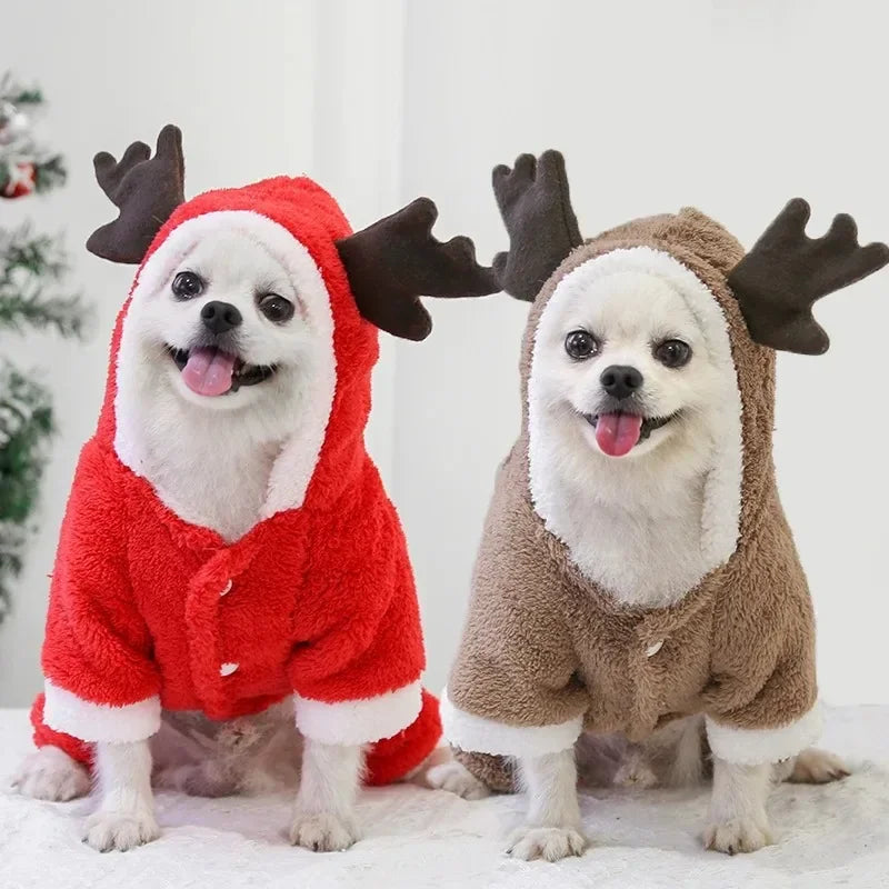 Tenue de Noël pour petits et moyens chiens – Douceur festive