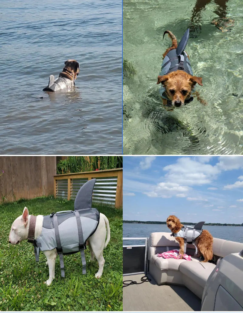 Gilet de Sauvetage Fantaisie pour Chien – Requin ou Sirène 🦈🧜‍♀️