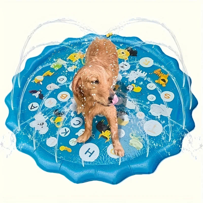 Piscine Splash pour Chien – L'été, il adore ça !