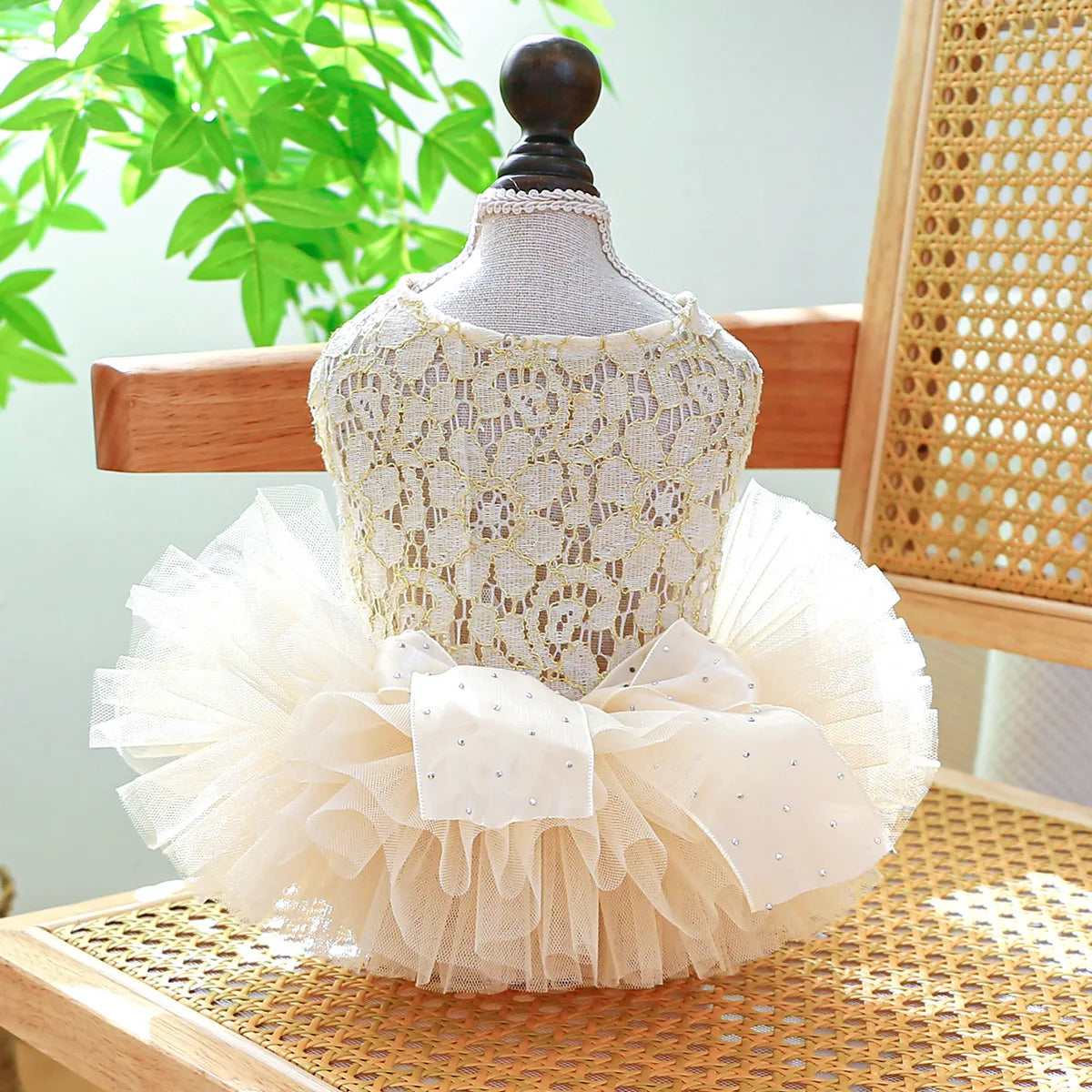 Robe Élégante pour Chienne – Belle comme une princesse