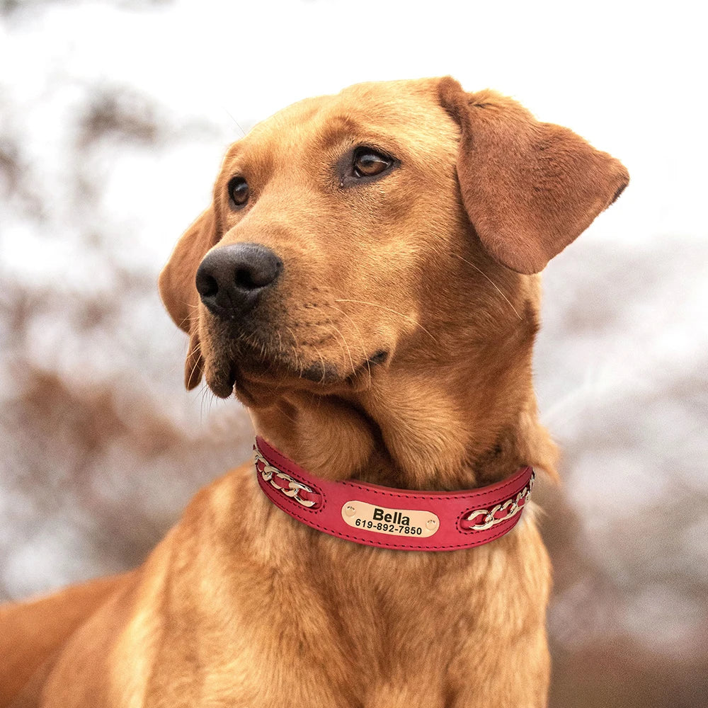 Collier en Cuir Personnalisé pour Chien – Élégant et unique