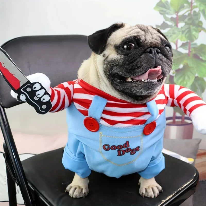 Costume Halloween Chucky pour Chien | Perruque & Bras en Peluche Inclus | S à XL