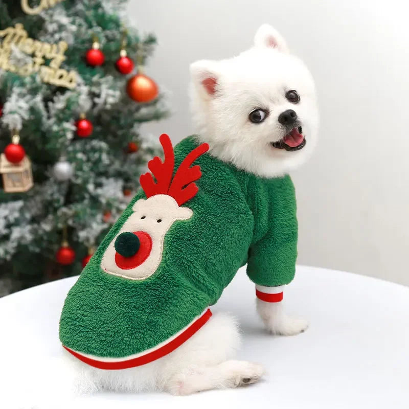 Tenue de Noël pour petits et moyens chiens – Douceur festive