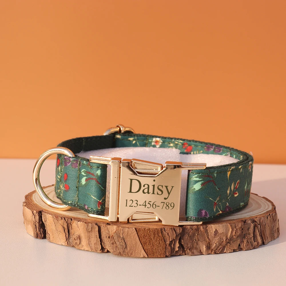 Collier Nylon Fantaisie Personnalisé pour Chien – Fun et personnalisé