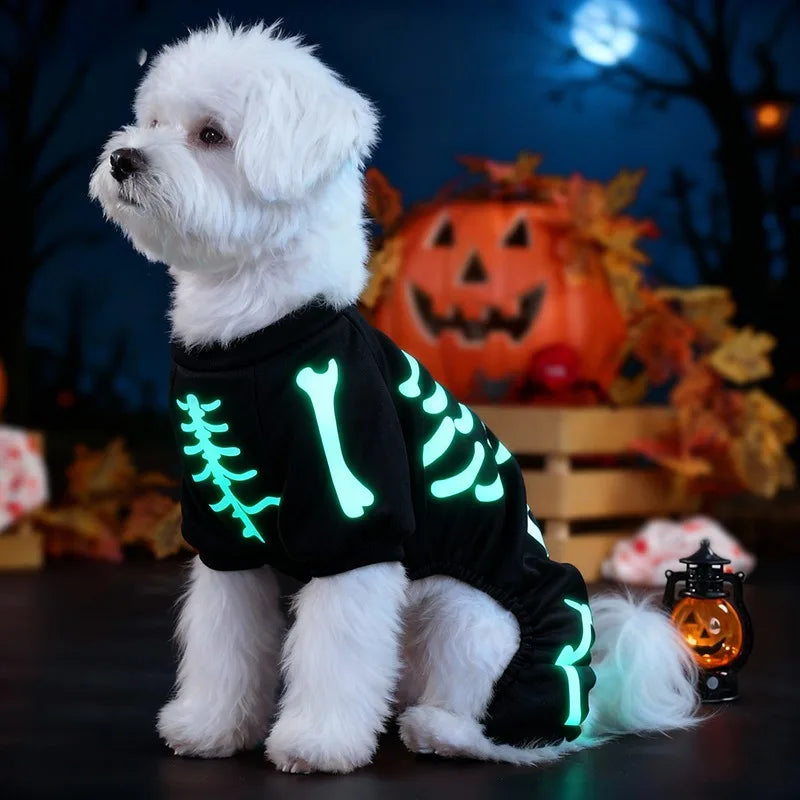 Costume Halloween pour Chien – Combinaison Squelette Phosphorescente