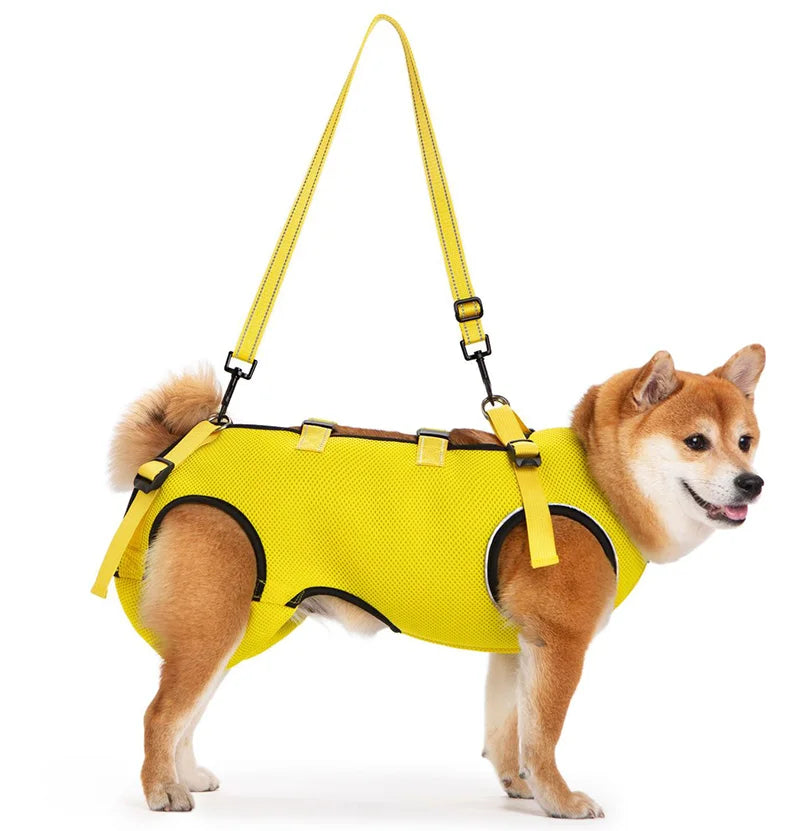 Harnais de Mobilité pour Chien – Soutien Complet 4 Pattes | Rééducation & Senior