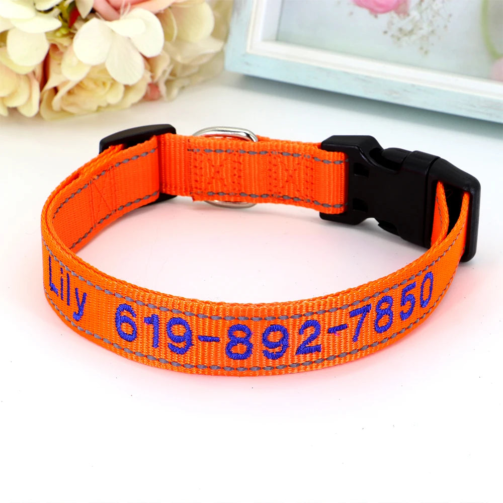 Collier Nylon Brodé Personnalisé pour Chien – Son prénom brodé sur mesure