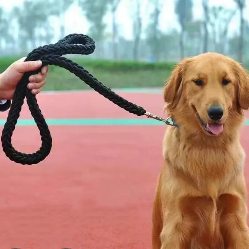 Laisse Tressée en Nylon pour Grand Chien – Solide comme un roc