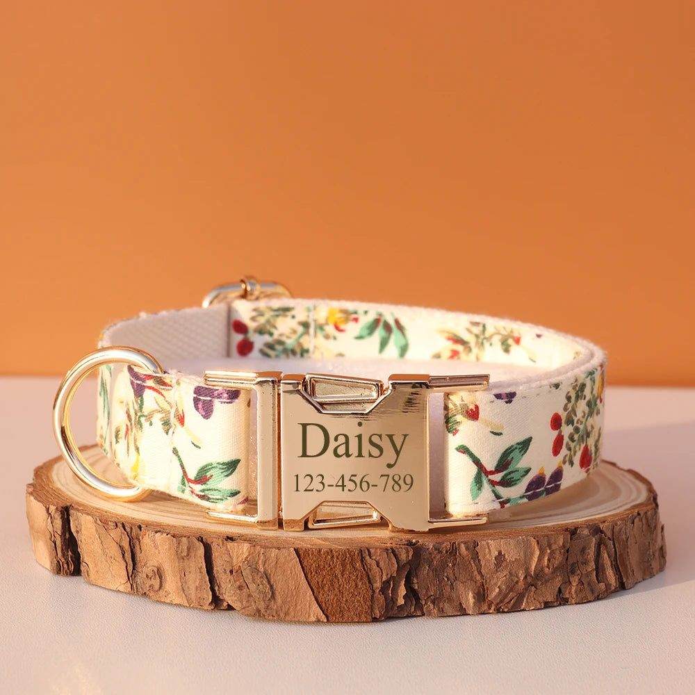 Collier Nylon Fantaisie Personnalisé pour Chien – Fun et personnalisé
