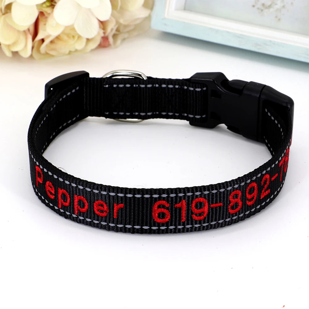 Collier Nylon Brodé Personnalisé pour Chien – Son prénom brodé sur mesure