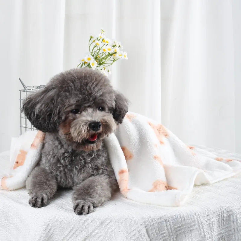Couverture en Velours Polaire Douce Multiusage pour Chien et Chat | Chaude & Douilette | 60x40 à 100x76cm