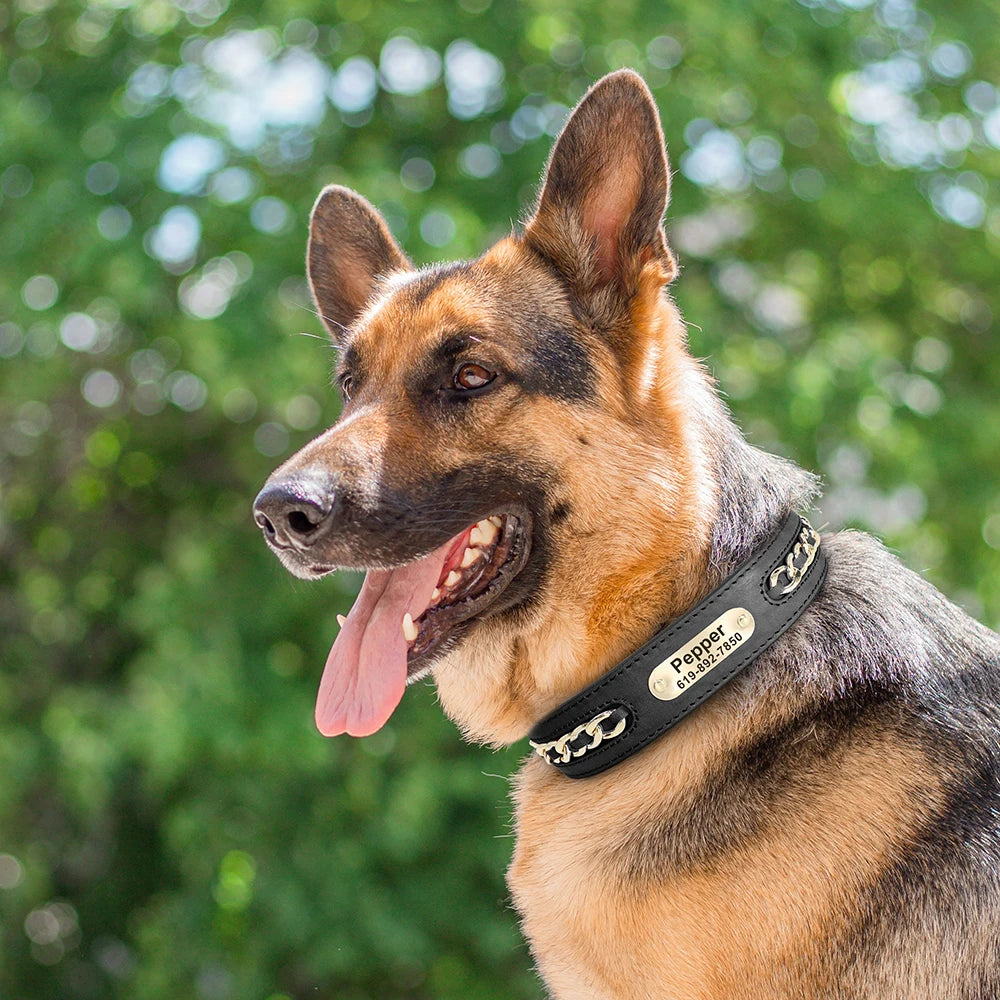 Collier en Cuir Personnalisé pour Chien – Élégant et unique