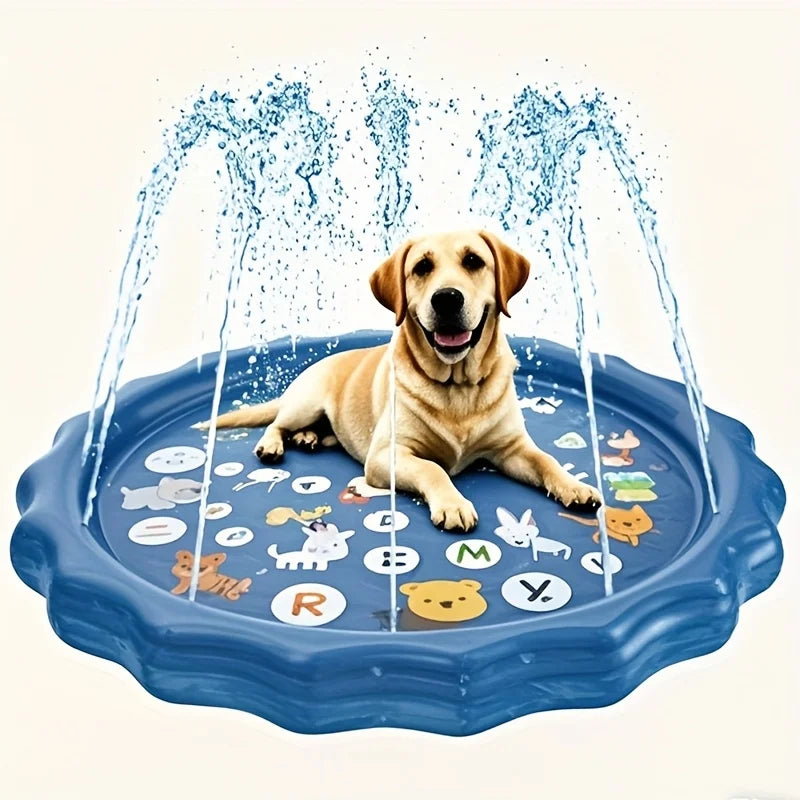 Piscine Splash pour Chien – L'été, il adore ça !