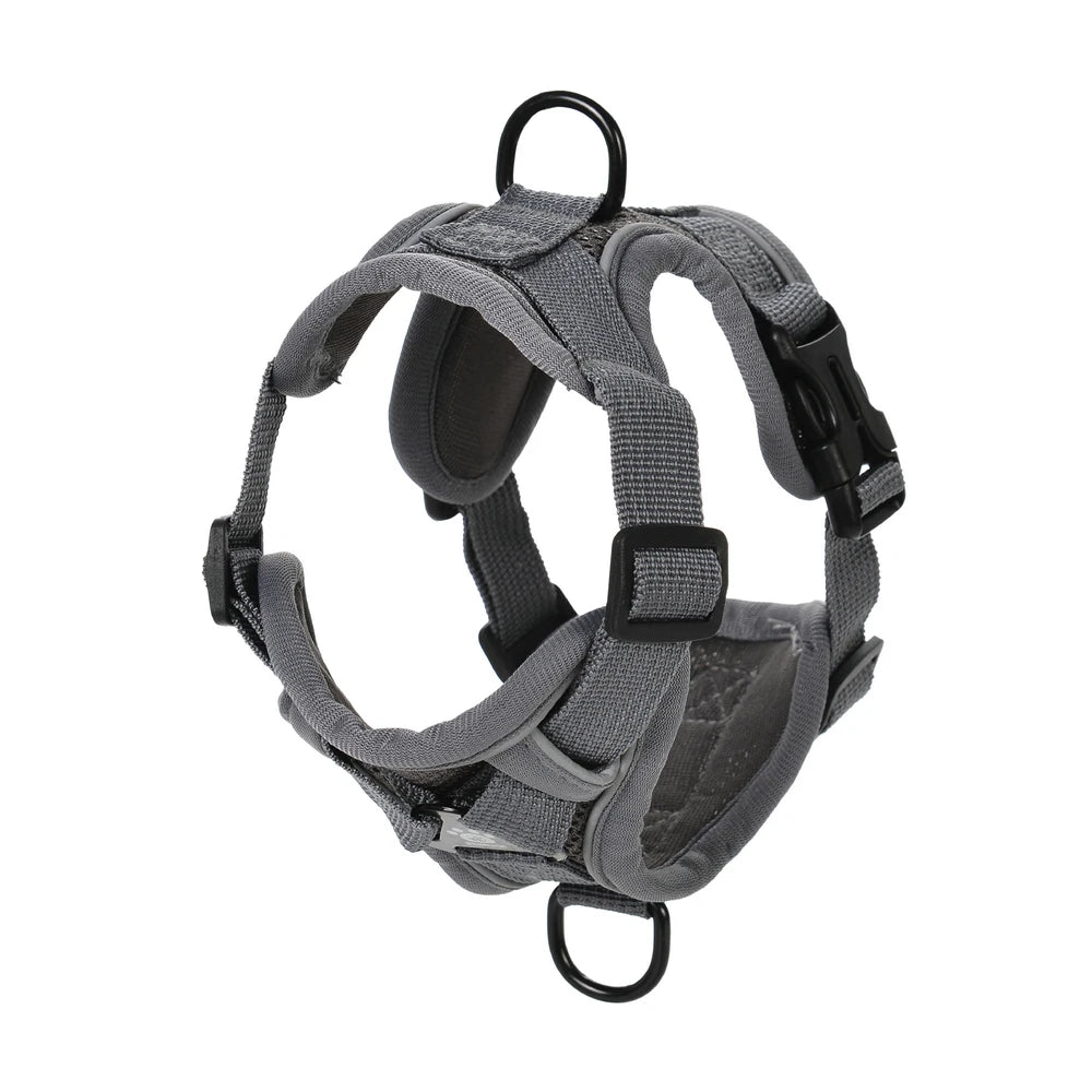 Ensemble Harnais + Laisse Réfléchissant pour Petit Chien et Chat