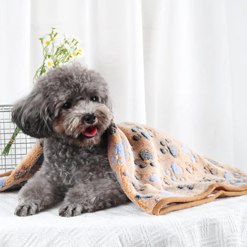 Couverture en Velours Polaire Douce Multiusage pour Chien et Chat | Chaude & Douilette | 60x40 à 100x76cm