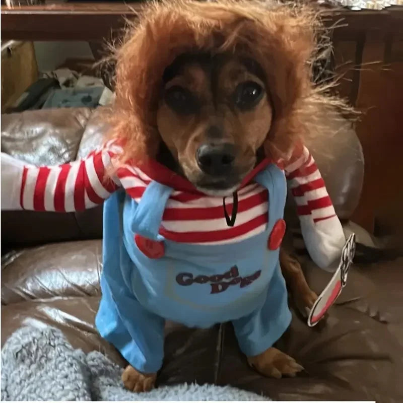 Costume Halloween Chucky pour Chien | Perruque & Bras en Peluche Inclus | S à XL