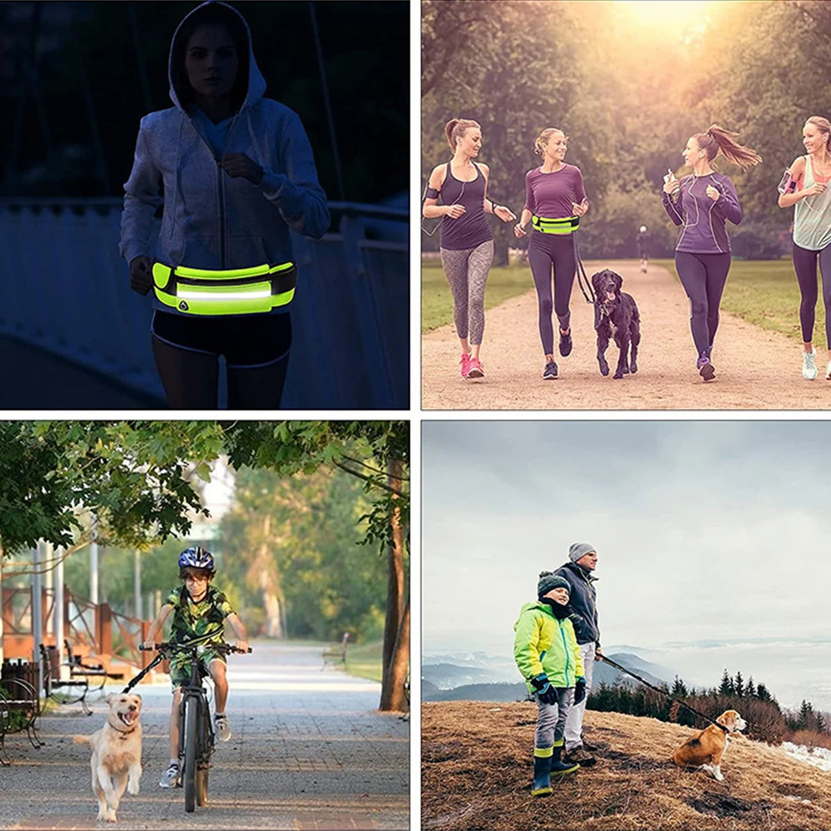 Laisse Mains Libres pour Chien – Idéale pour le Canicross et le Running