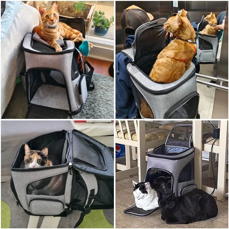 Sac à Dos de Transport pour Chat et Chien – L'aventure ensemble