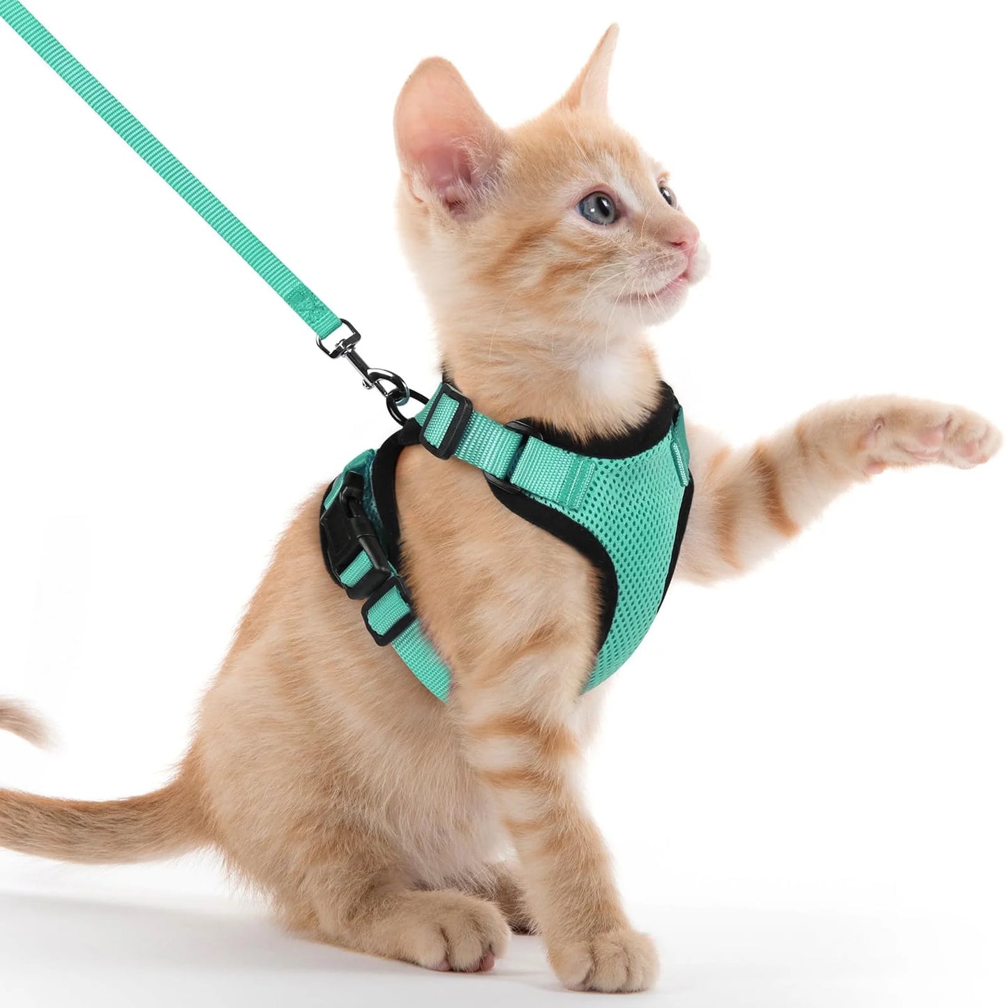 Harnais Anti-Évasion pour Chat