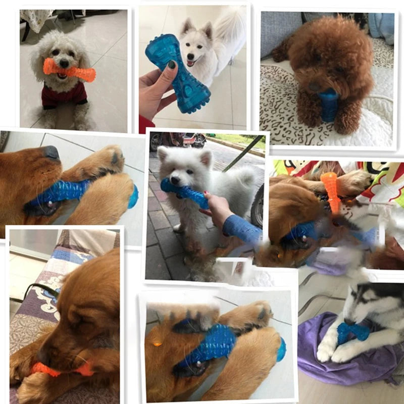 Jouet à Mâcher pour Chiot et Chien – Parfait pour les petites dents