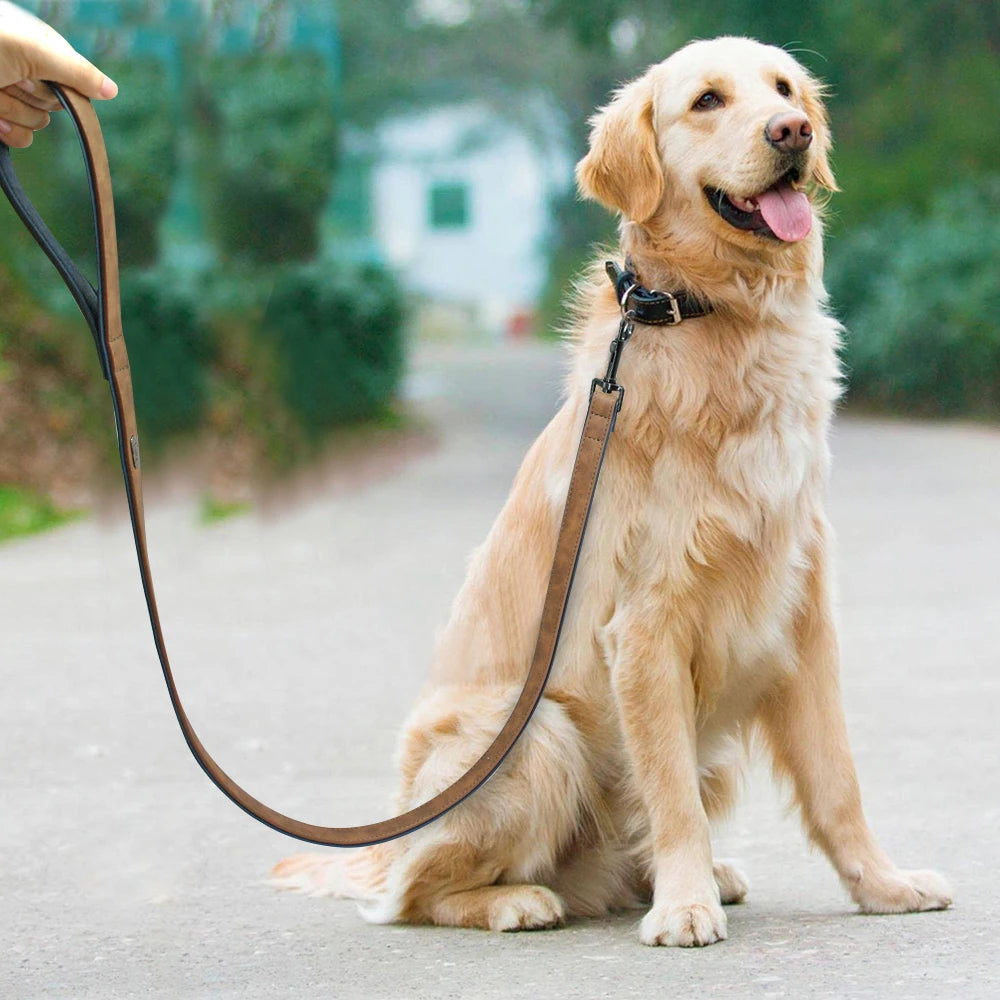Laisse en Similicuir Premium pour Chien – Élégante et résistante