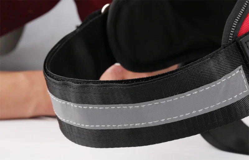 Harnais Gilet Personnalisable pour Chien – Son harnais, son identité
