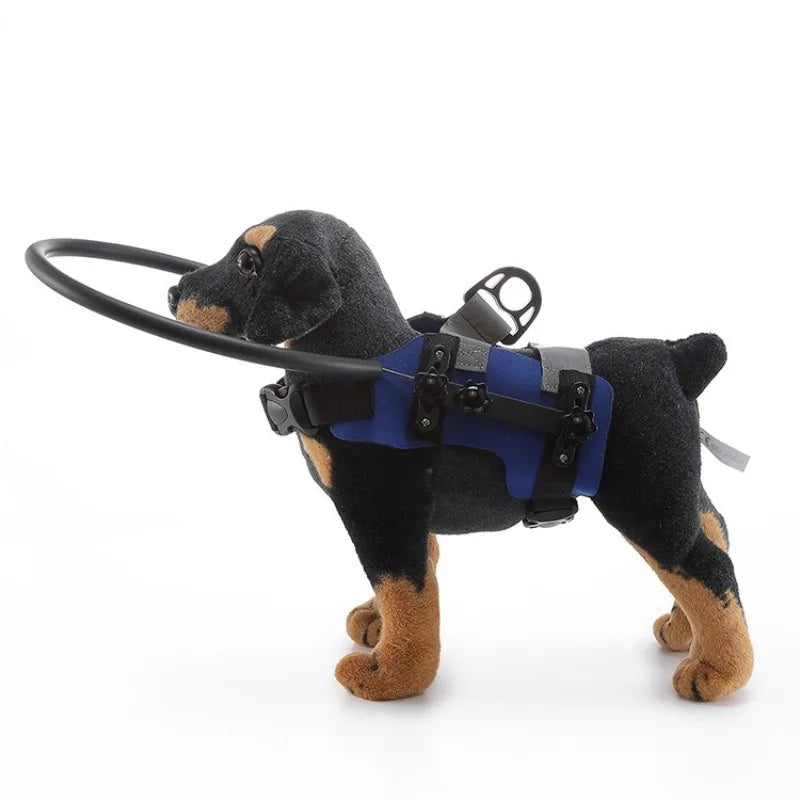 Harnais Halo pour Chien Aveugle – Protection Anti-Collision